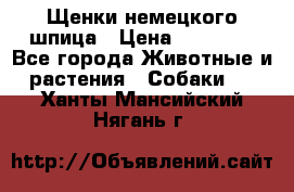 Щенки немецкого шпица › Цена ­ 20 000 - Все города Животные и растения » Собаки   . Ханты-Мансийский,Нягань г.